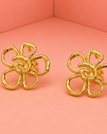 Arete Floris
