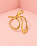 Anillo Caia