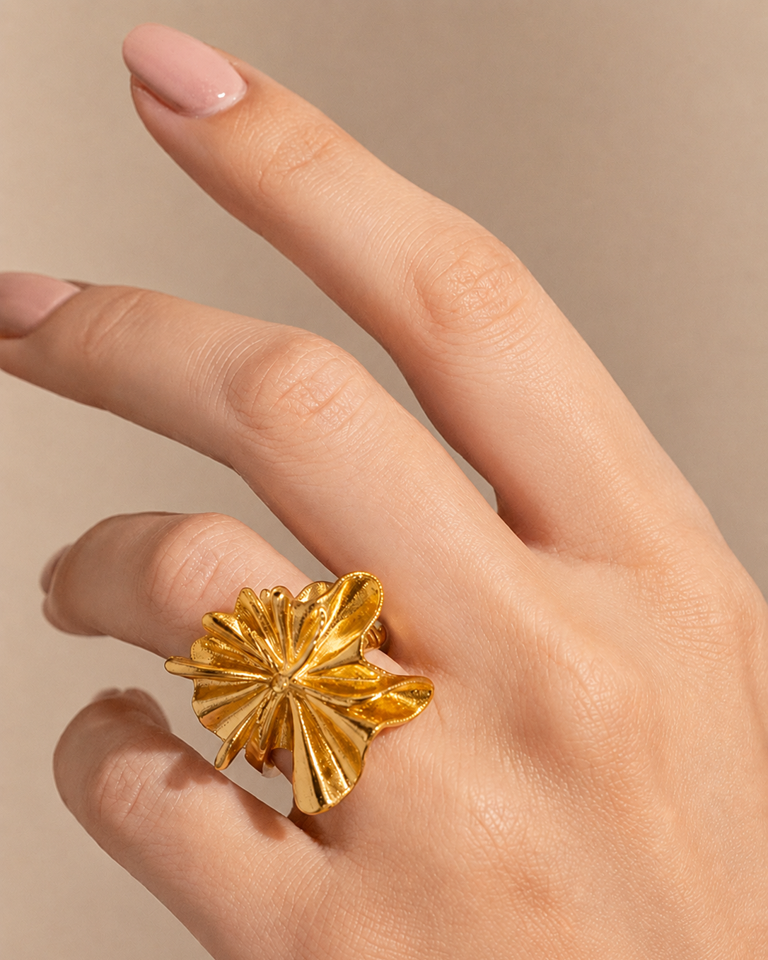 Anillo Kata