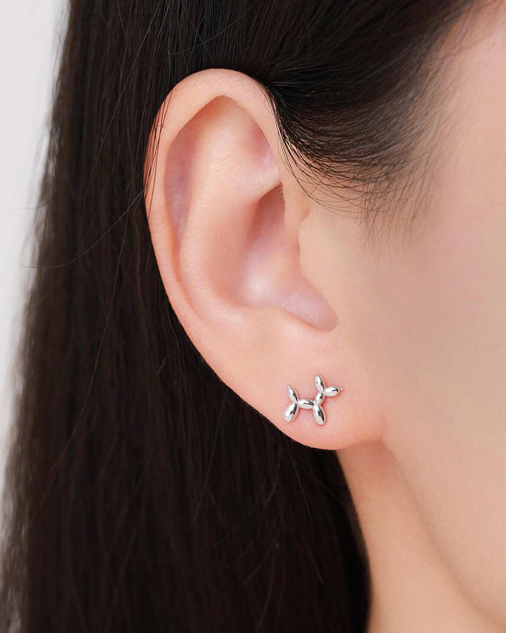 Arete Puppy