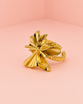Anillo Kata
